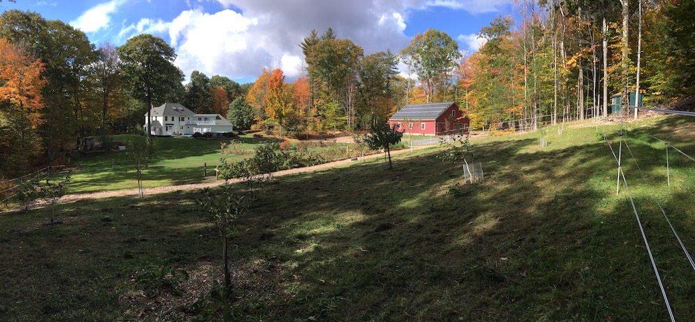 The Farm - Honey Meadow Farm